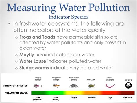 how are indicator species used to evaluate water quality